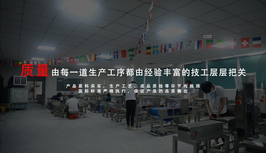 现代化生产车间内部，多条自动化生产线并行作业，工人正在操作精密设备，车间环境整洁有序